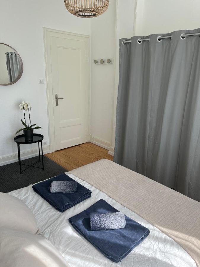Appartement De Prestige Au Centre Climatise Avec Jardin Prive Colmar Exterior photo
